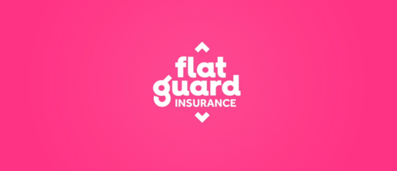 Getting to know FlatGuard better