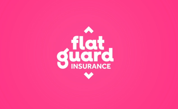 Getting to know FlatGuard better