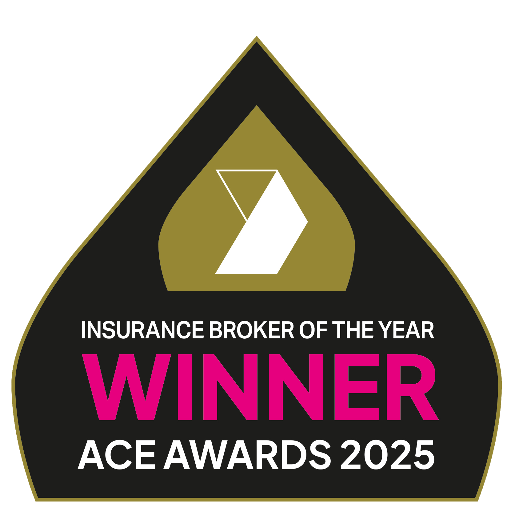 TPI ACE Award